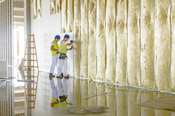 Best Commercial Insulation in Massac, KY
